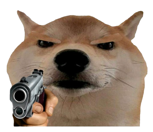 shiba-inu-pistol